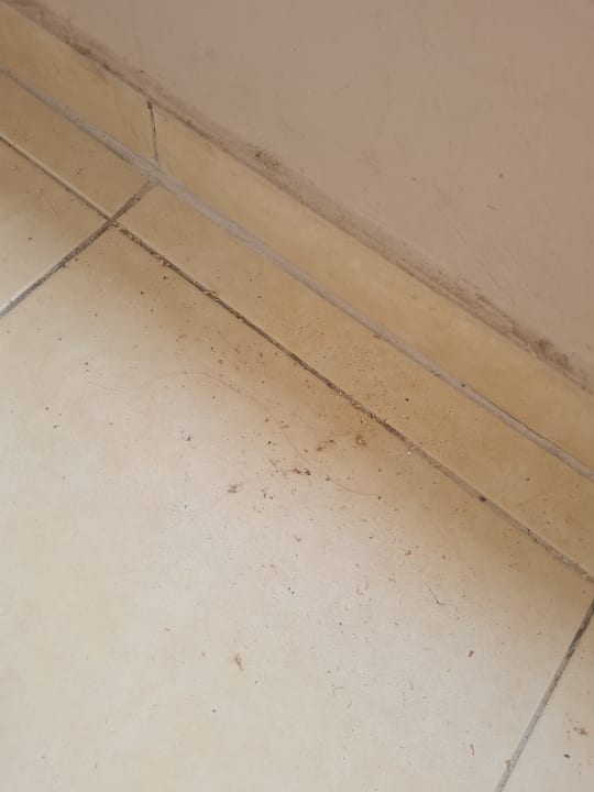 Zimmer Hotel Orfeus Park