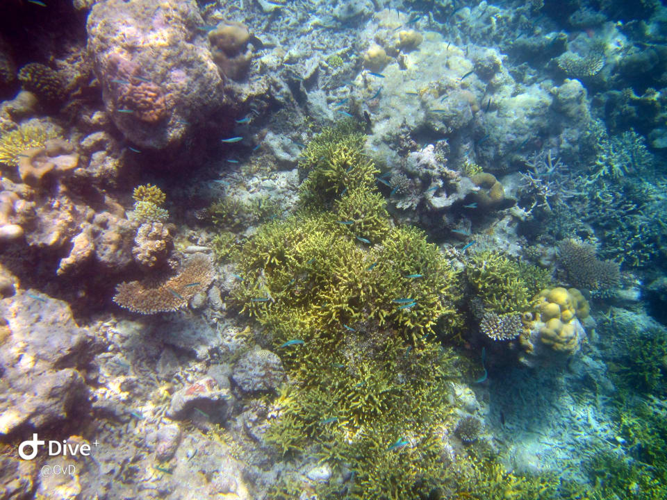 Sport & Freizeit NH Collection Maldives Havodda Resort