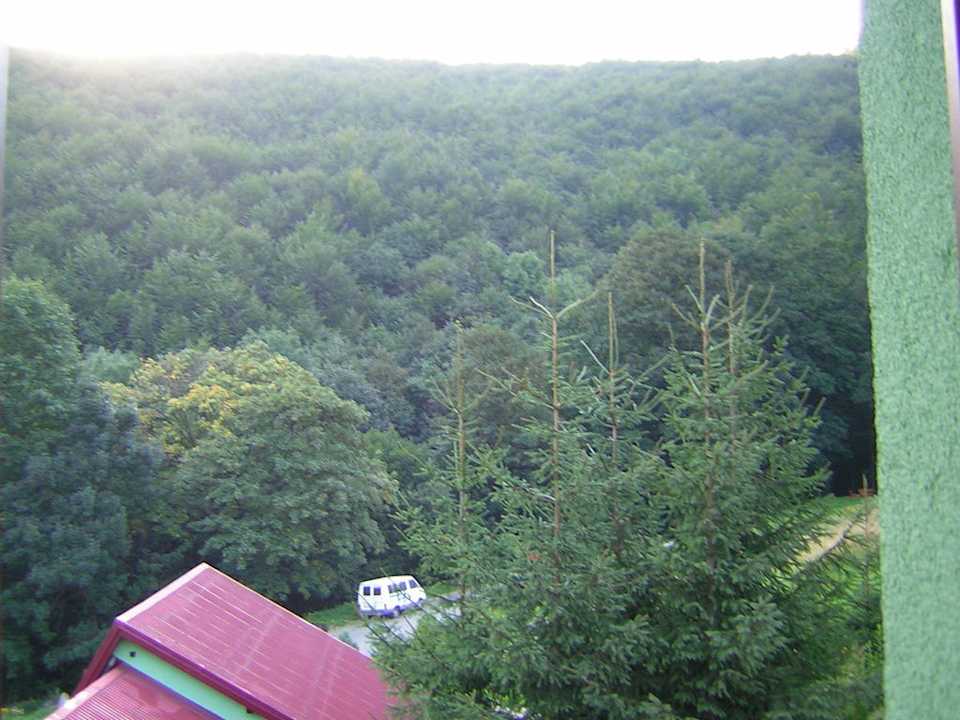 Widok z okna Pensjonat Poniwiec