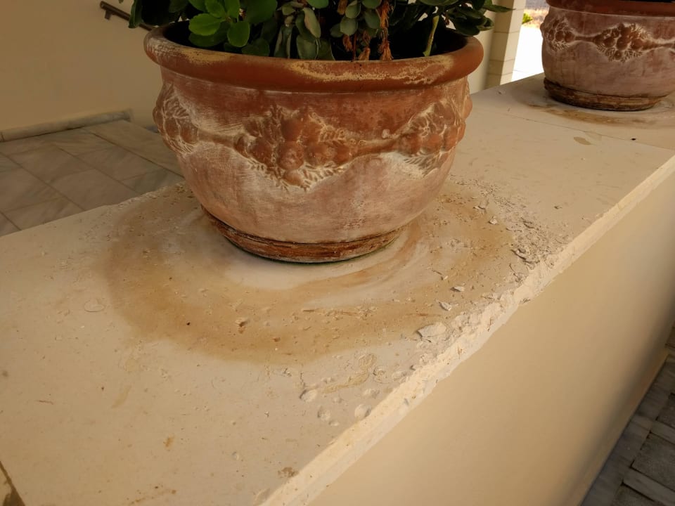 Blumentopf Giannoulis - Grand Bay Beach Resort