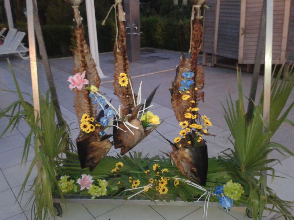 Deko  Asteria Family Resort Side