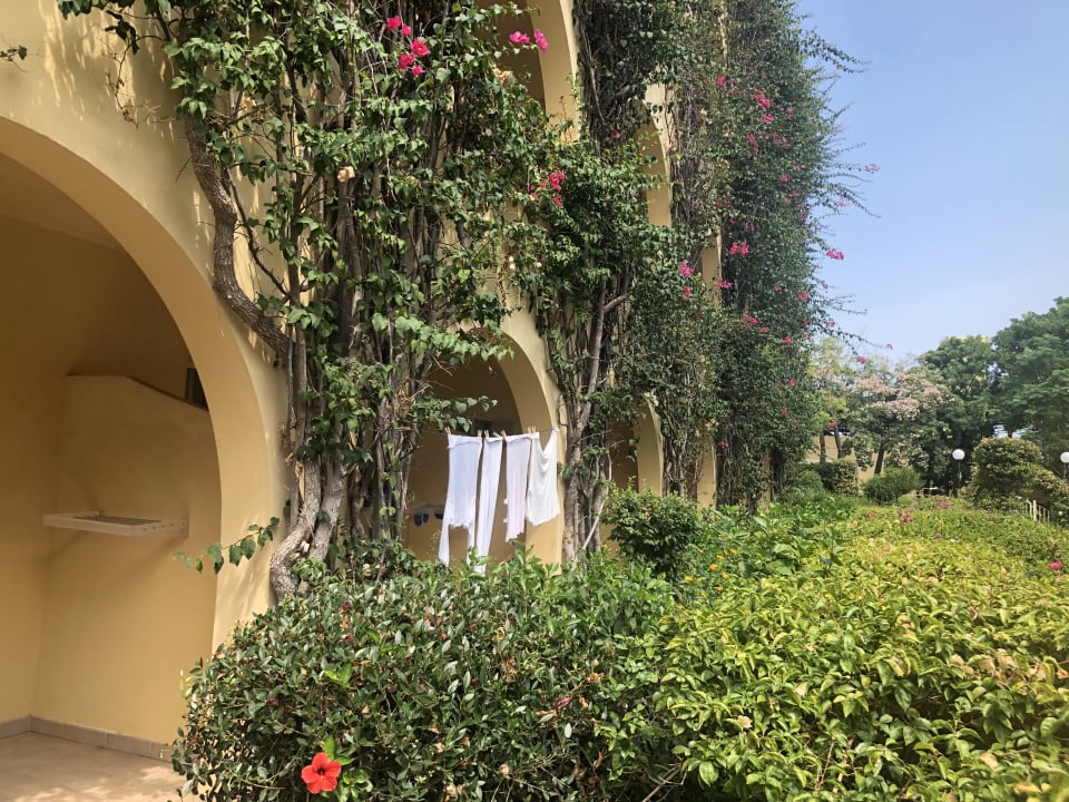 Außenansicht TUI MAGIC LIFE Calabria