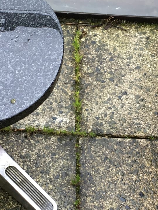 Zimmer Bergström Hotel Lüneburg