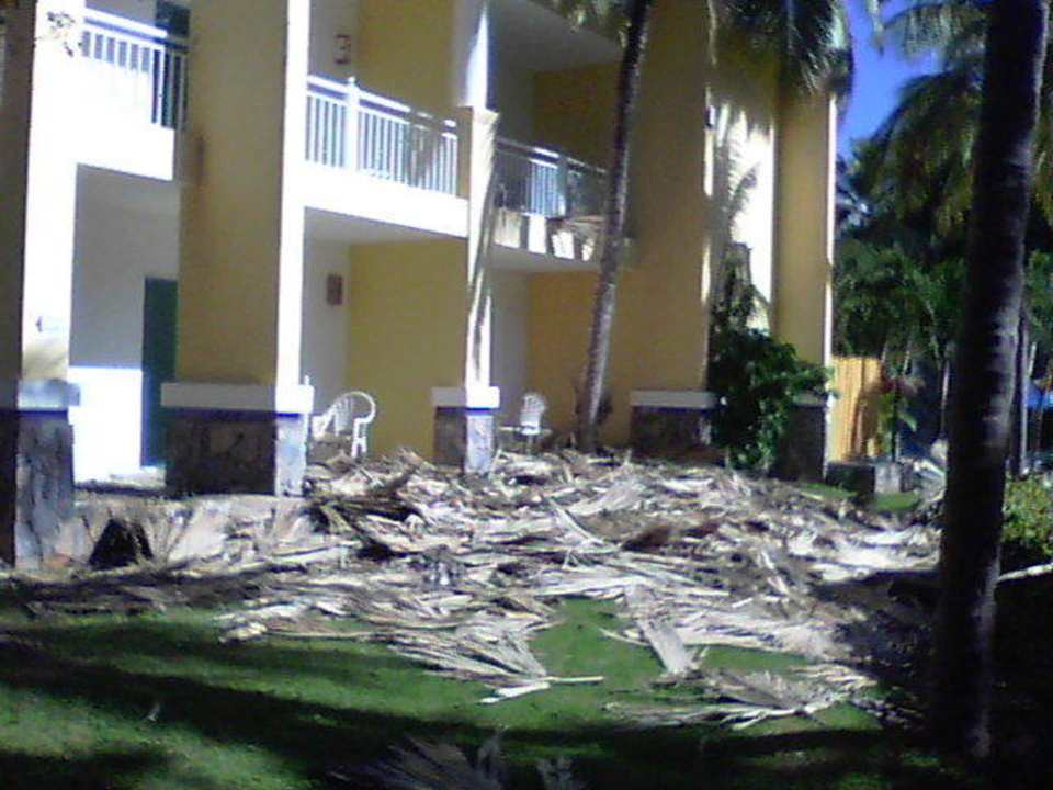 Dacharbeiten Wyndham Alltra Samana