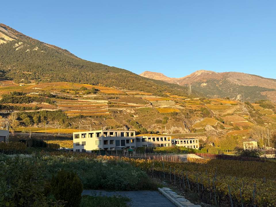 Ausblick BnB Vino Veritas