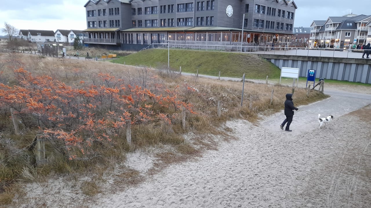 Außenansicht Bretterbude Heiligenhafen