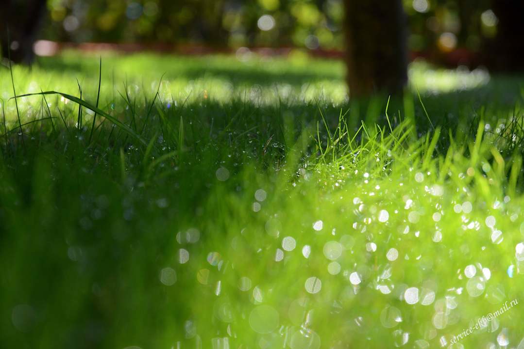 Delphin Imperial Hotel Delphin Imperial