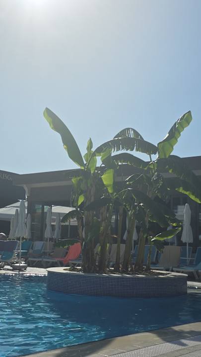 Außenansicht Luna Blanca Resort & Spa