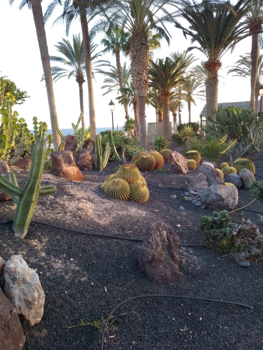 Gartenanlage SBH Costa Calma Beach Resort
