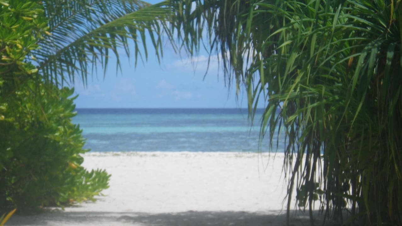 Der Blick zum Strand vom Bungalow Angsana Velavaru