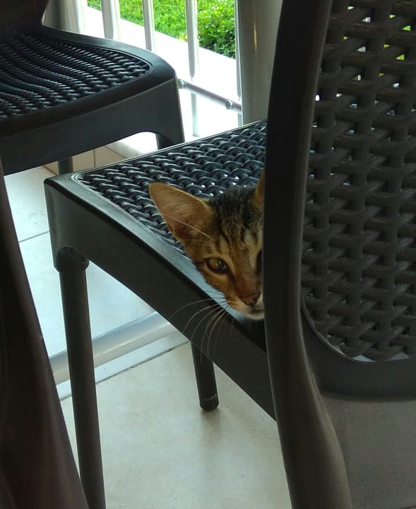 Sonstiges Hotel Sirma