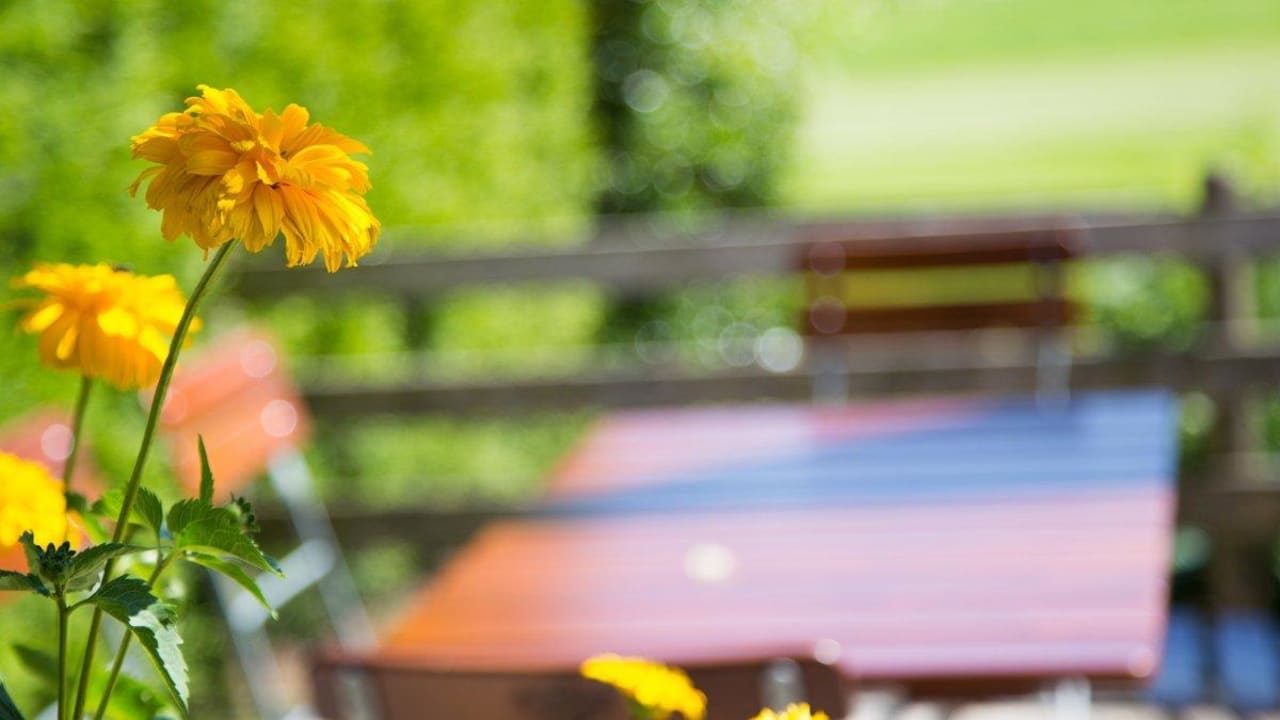 Außenbereich Hotel Christine