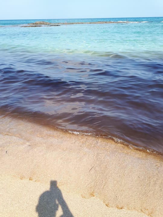 Strand Salamis Bay Conti Resort Hotel & Casino