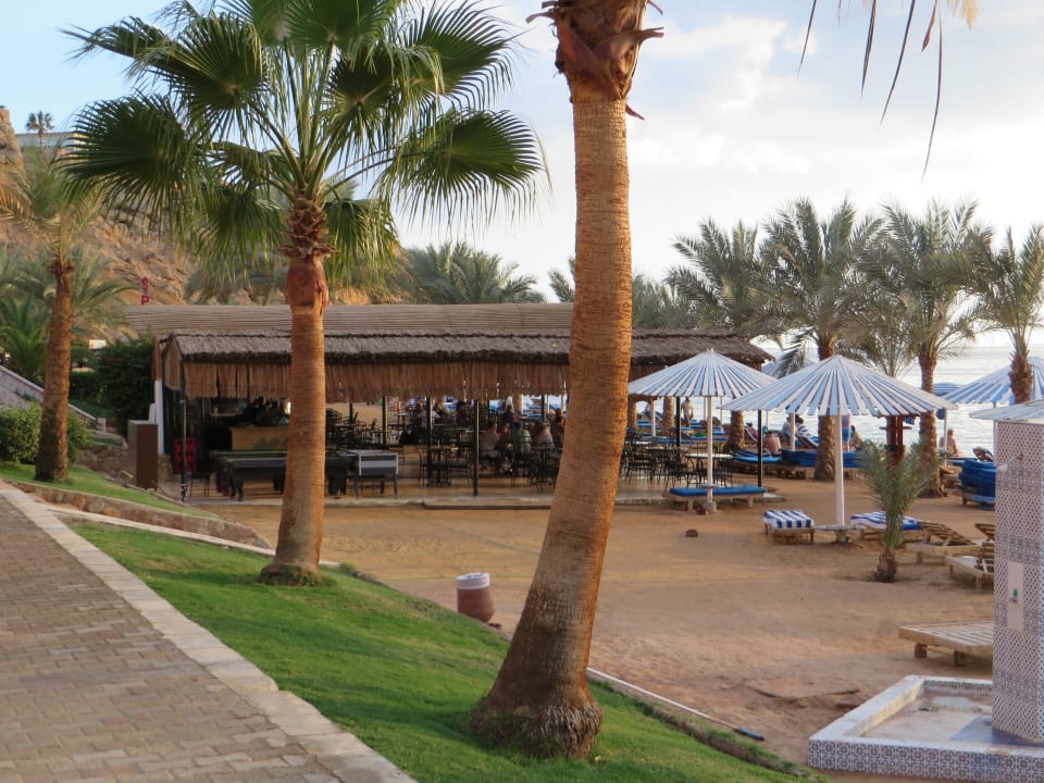 Blick zur Strandbar Albatros Sharm Resort