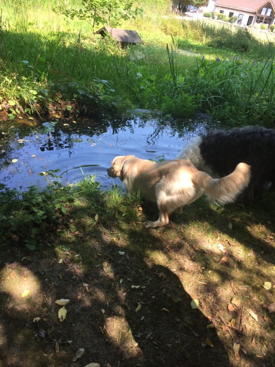 Gartenanlage Hotel Gut Ising