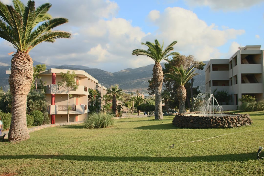 Hotel's garden  allsun Hotel Malia Beach