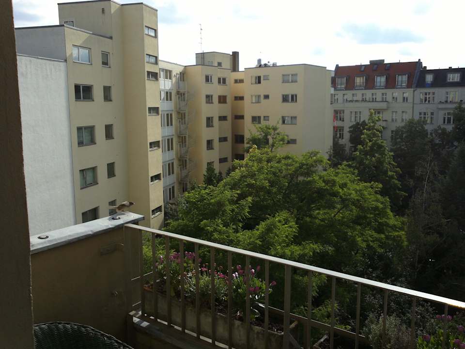 Innenhof Apartments Damaschke