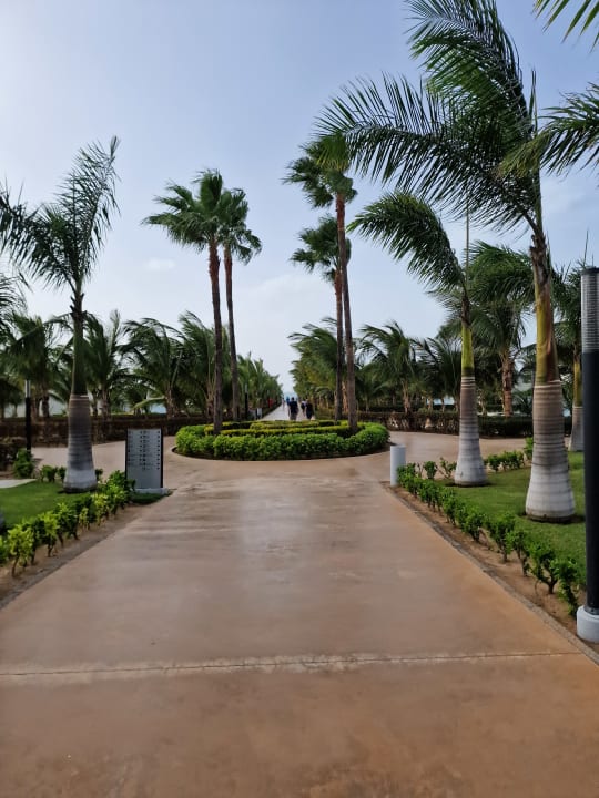 Gartenanlage Hotel Riu Palace Boavista