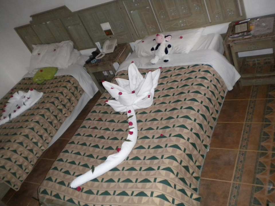Dekoracje Hotel El Faraana Reef Resort
