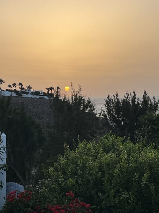 Ausblick Marina Playa Suite Hotel