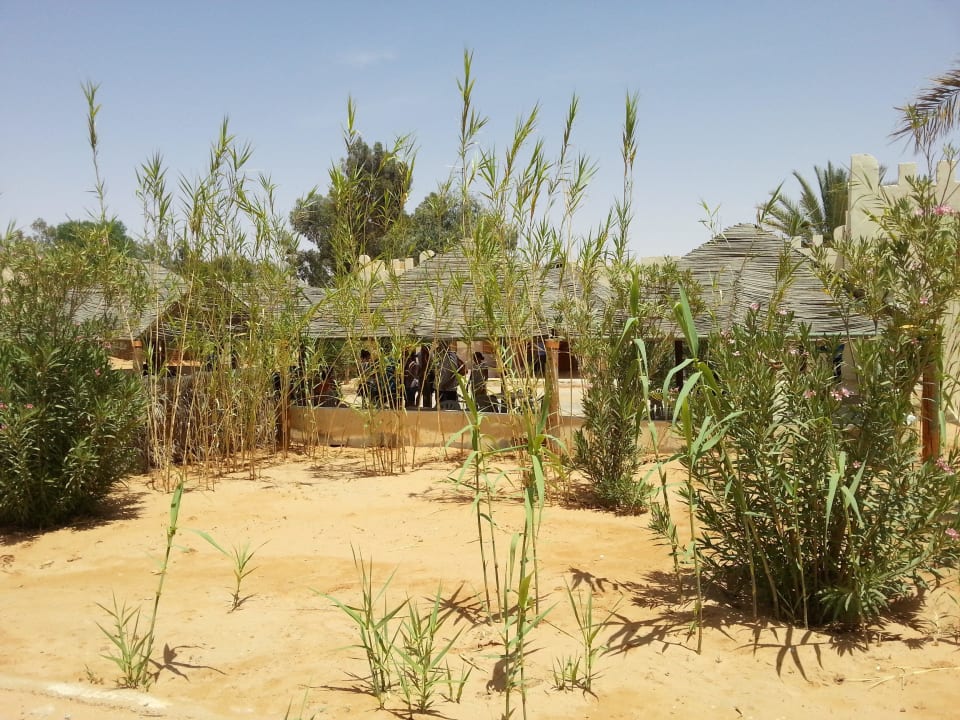 Hinter der Oase Hotel Pansea Ksar Ghilan