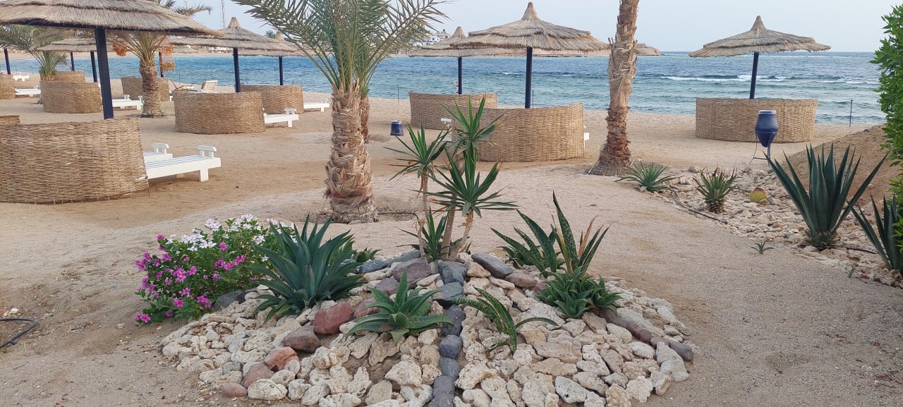 Strand Coral Sun Beach