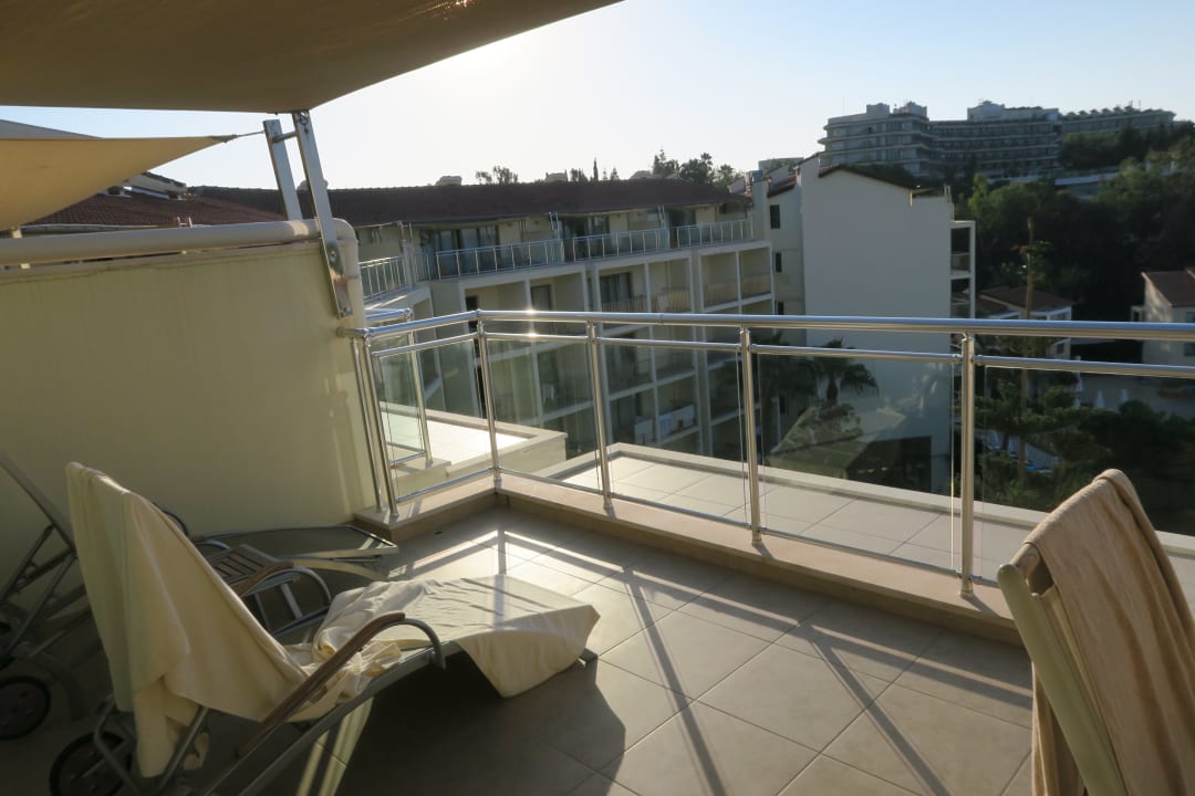 Zimmer Arum Barut Collection