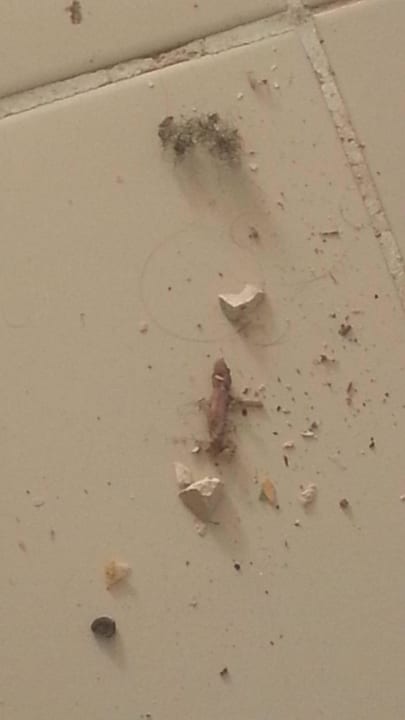 Dans la chambre The Ksar Djerba Charming Hotel & SPA