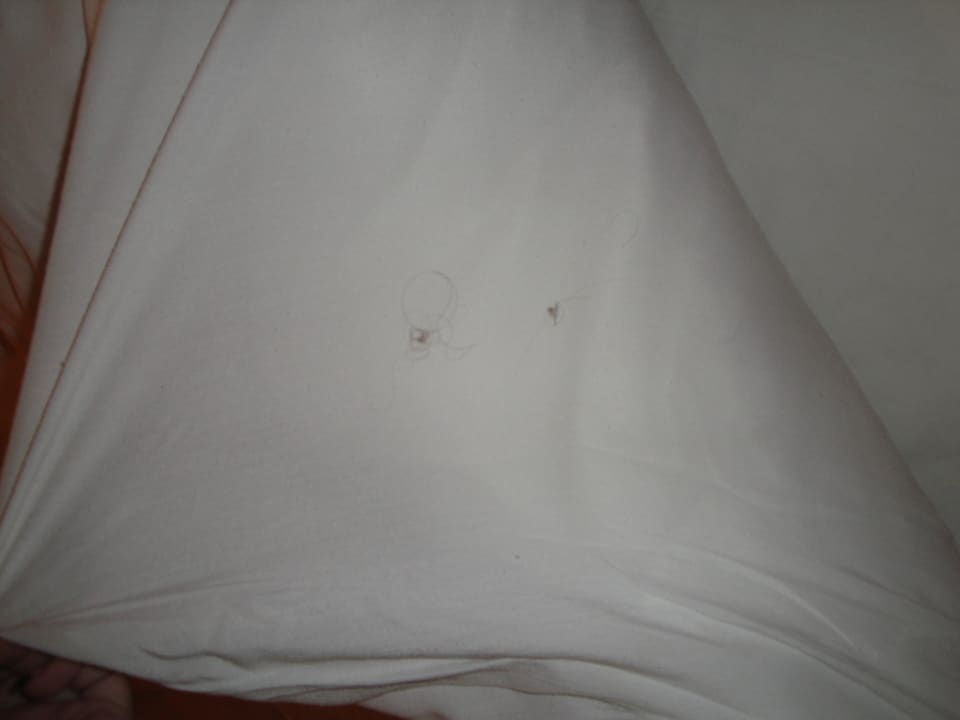 Haarbündel unter den Decken Ghazala Gardens