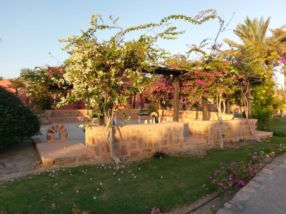 Gartenanlage Radisson Blu Resort, El Quseir