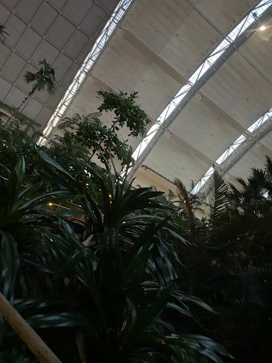 Ausblick Tropical Islands Resort