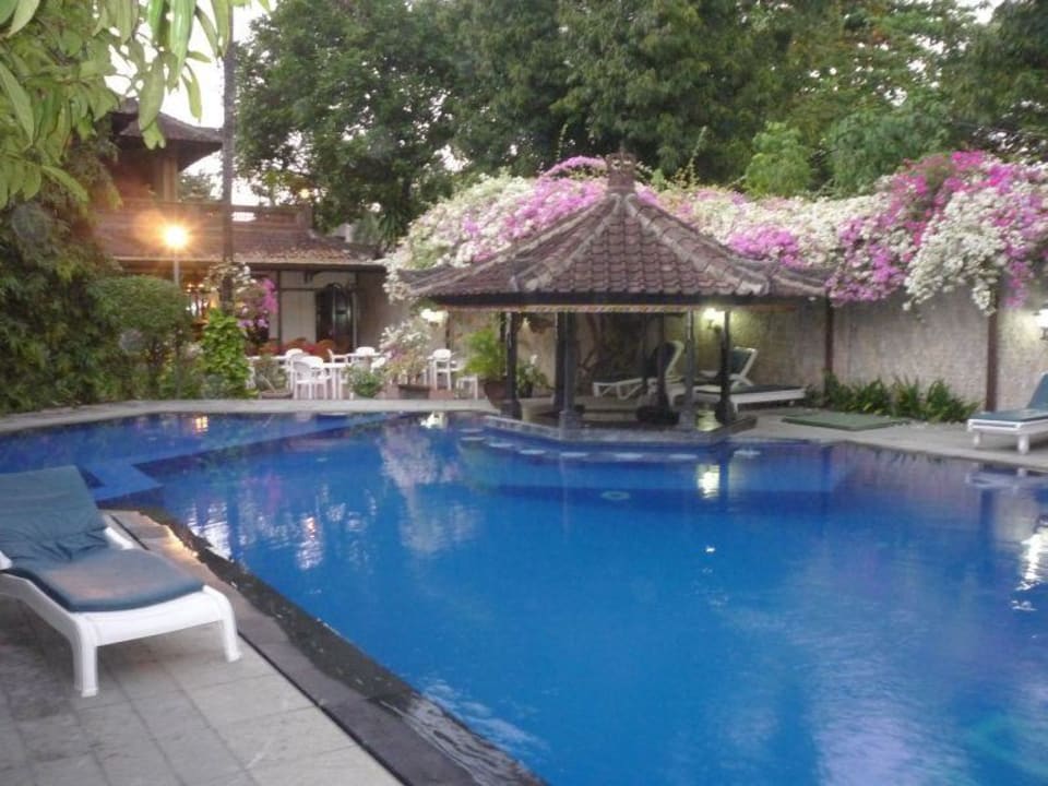 Pool Hotel Ari Putri