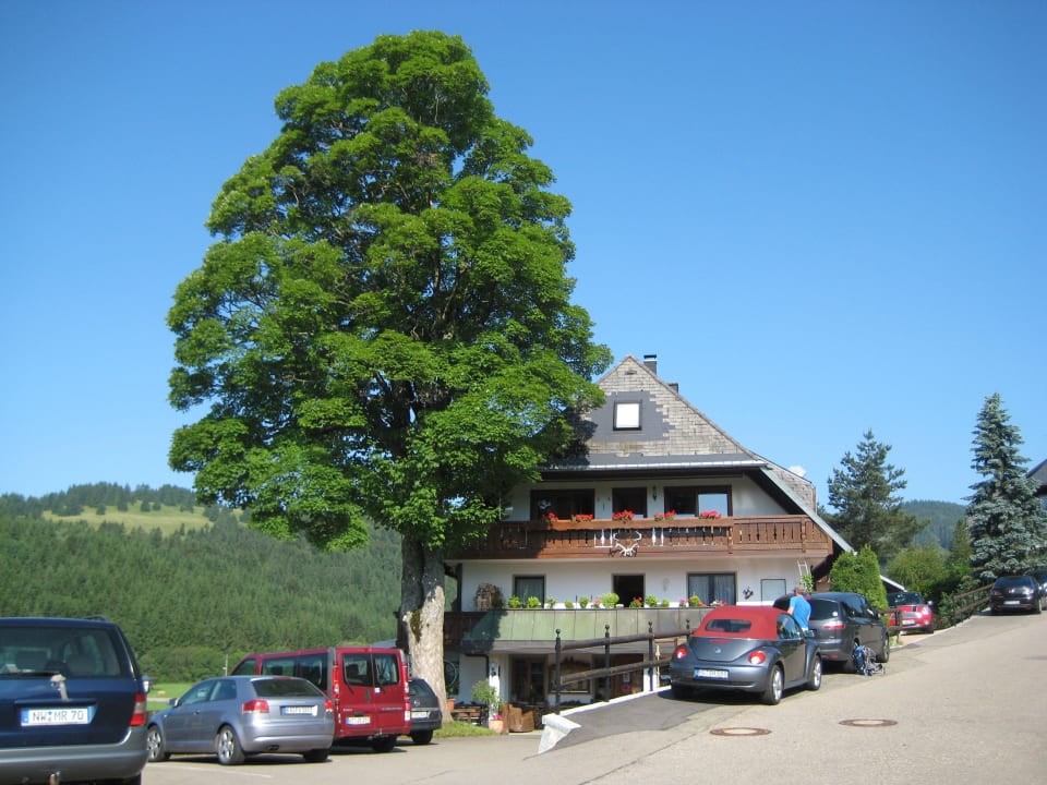Eingangsseite des Hotels Hotel Landgasthof Bergblick
