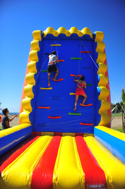 Oktober Fest  Asteria Bloom Side