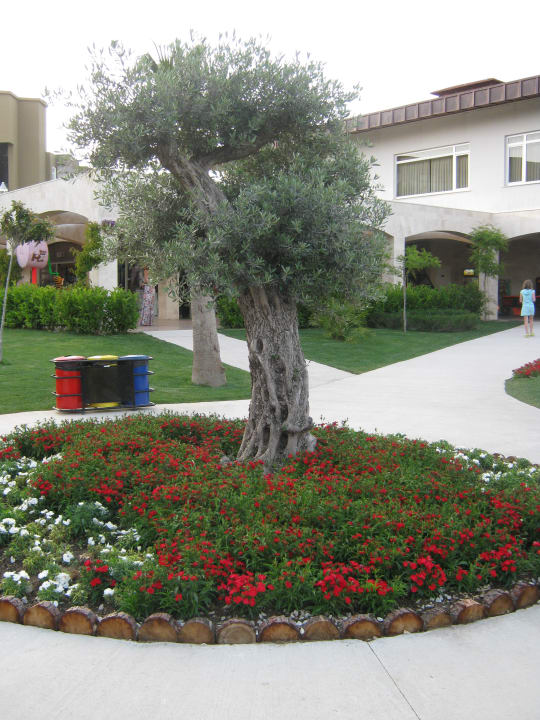 Озеленение Marvida Family Eco