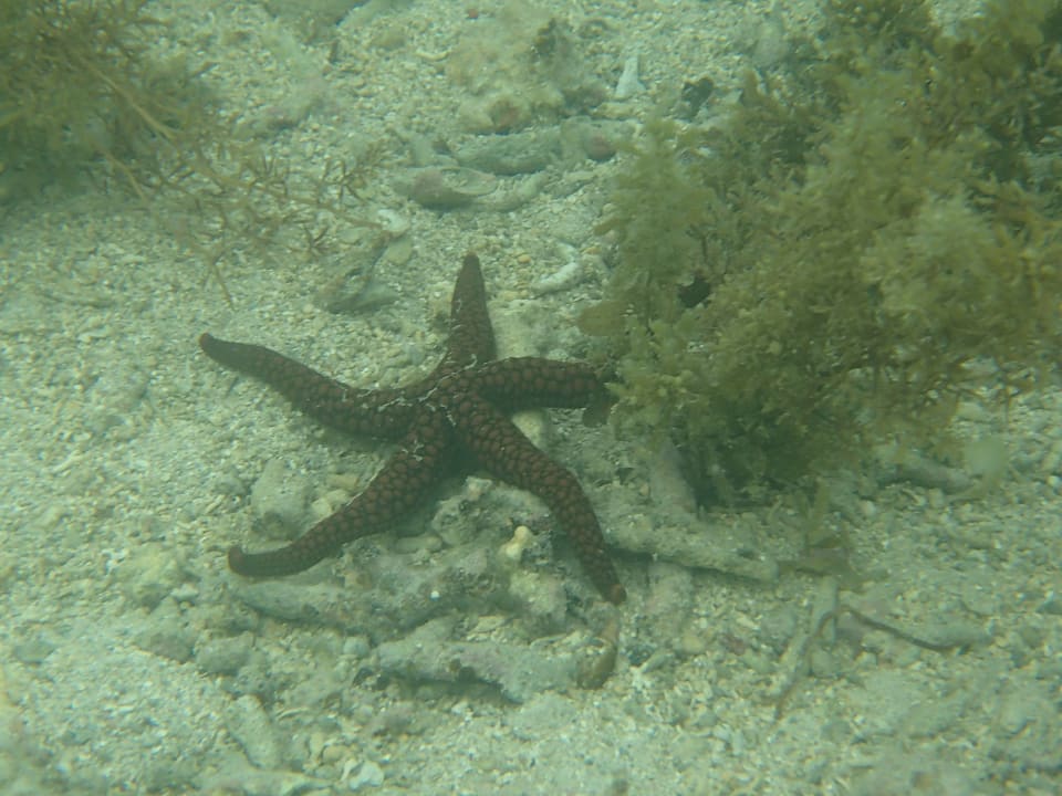Strand Hilton Mauritius Resort & Spa