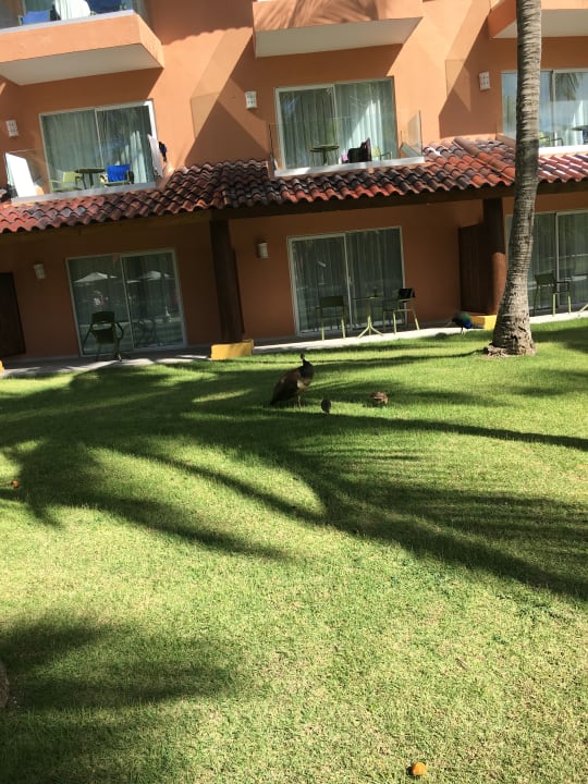 Gartenanlage Caribe Deluxe Princess