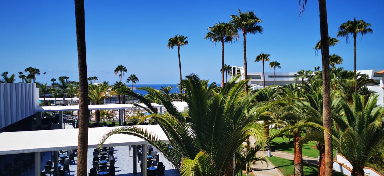 Zimmer Hotel Riu Arecas - Adults only