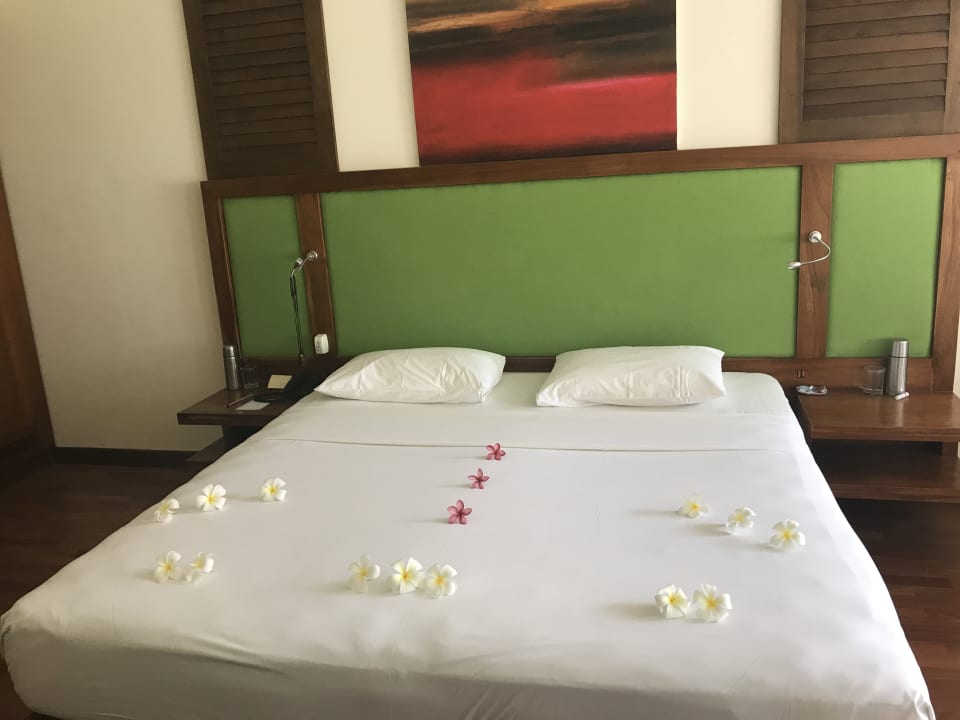 Zimmer Mermaid Hotel & Club