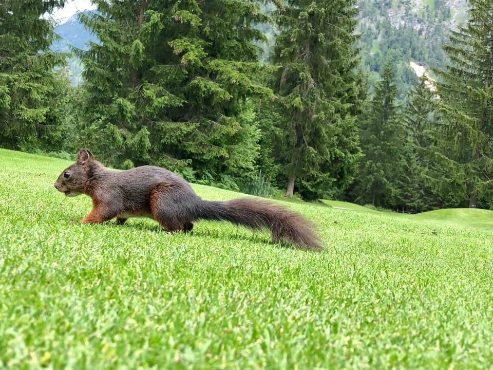 Sonstiges Rieser Achensee Resort