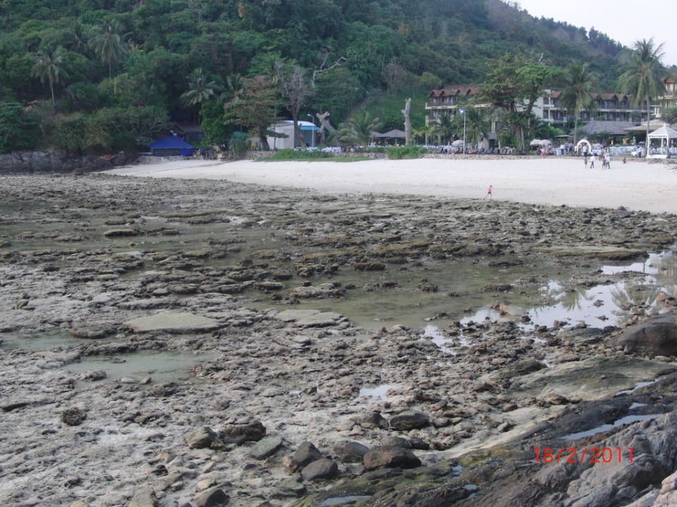 Strand bei Ebbe Phuket Marriott Resort & Spa Merlin Beach