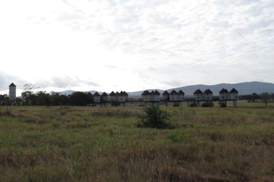 Salt Lick Lodge Salt Lick Safari Lodge