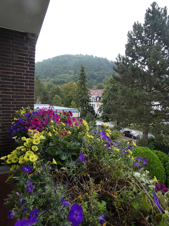 Ausblick Hotel Riemann