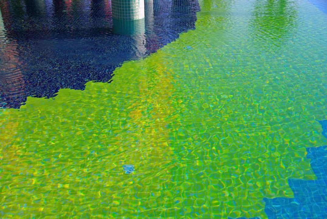 Gutes Mosaik Kamelya Aishen Club