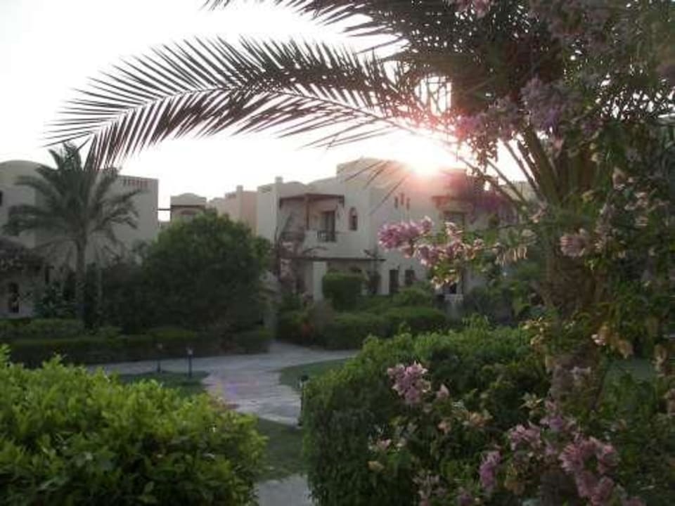 Aussicht vom der Terrasse IV Steigenberger Coraya Beach - Adults only