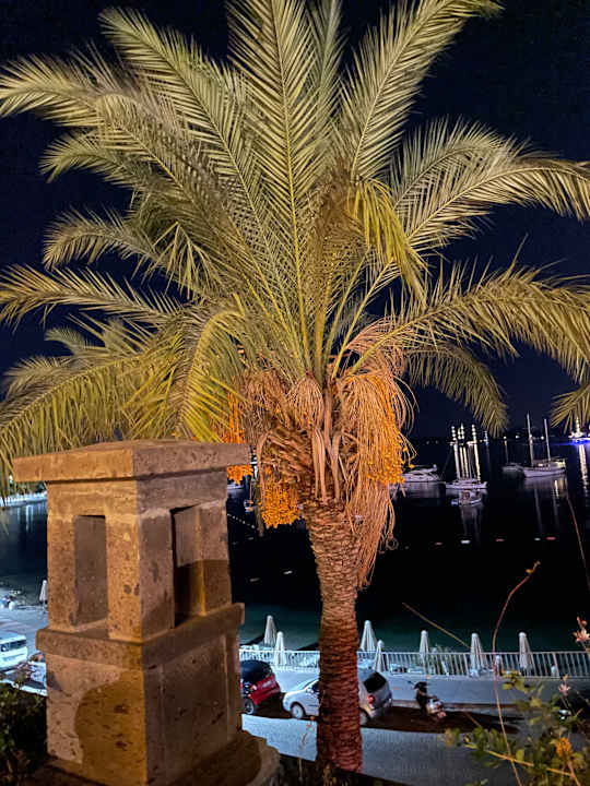 Außenansicht DIAMOND OF BODRUM