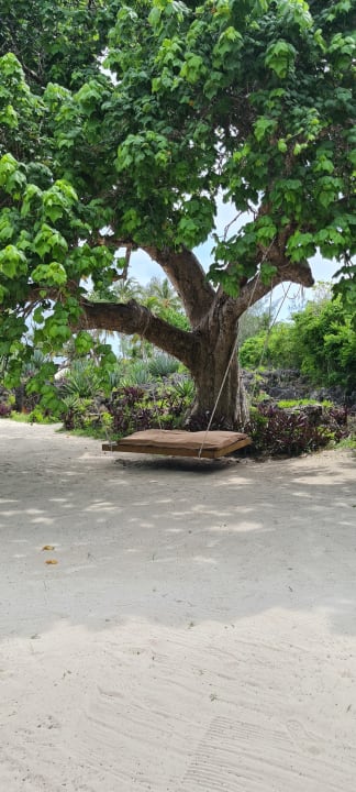 Gartenanlage Fruit & Spice Wellness Resort