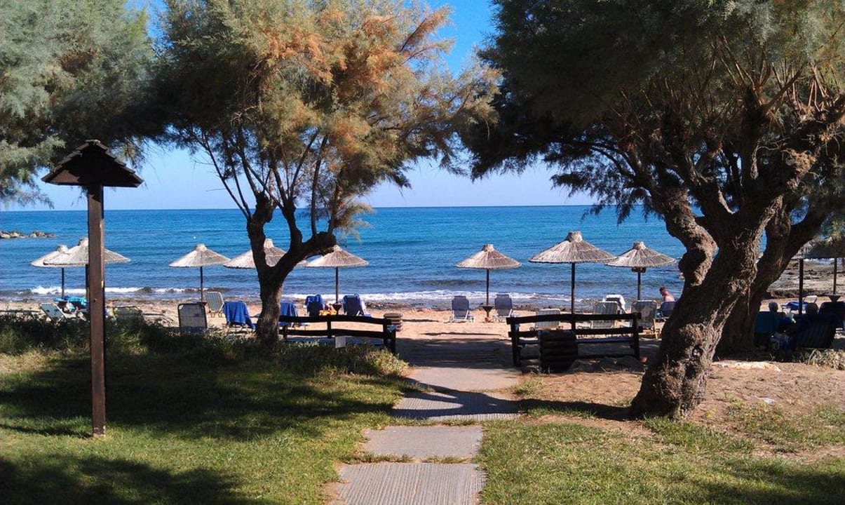 Weg zum Strand Phãea Cretan Malia