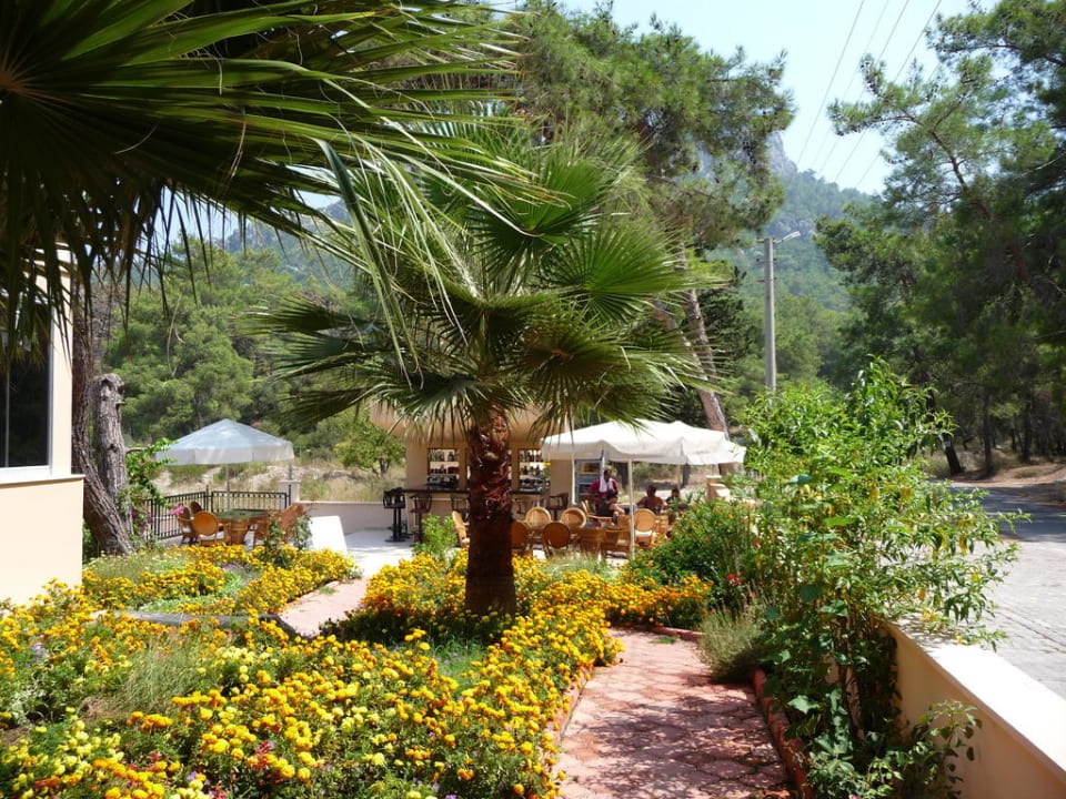 Weg von Rezeption zur Poolbar Hotel Forest Park