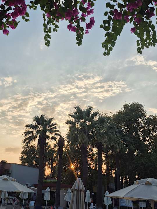 Pool VONRESORT Golden Beach